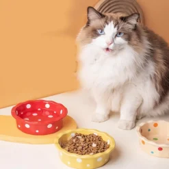 DOWNYPAWS - Bol céramique pour chat - anti-bascule & hygiénique