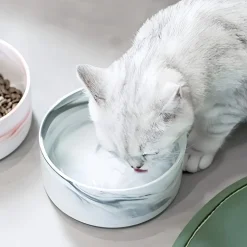 DOWNYPAWS - Bol surélevé en céramique et bois pour chat