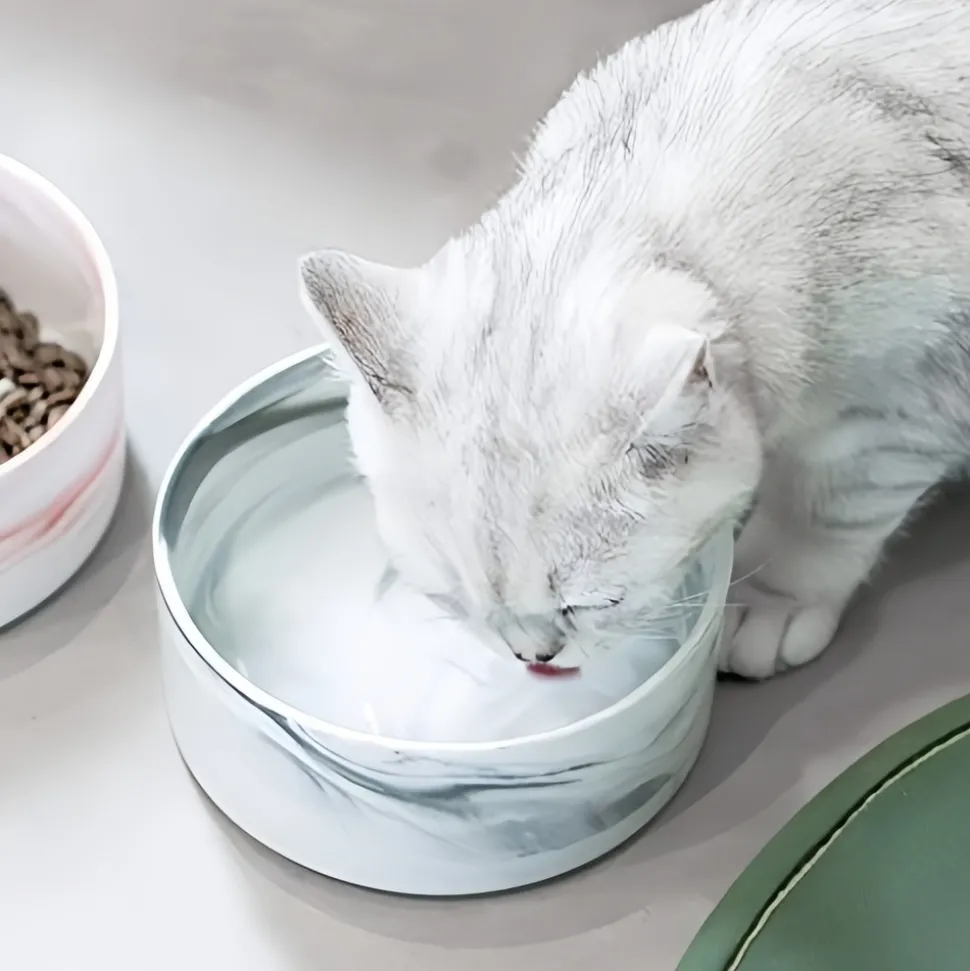 DOWNYPAWS - Bol surélevé en céramique et bois pour chat