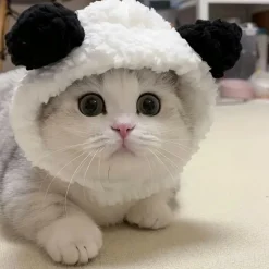 DOWNYPAWS - Bonnet d'hiver en peluche panda pour chiens et chats