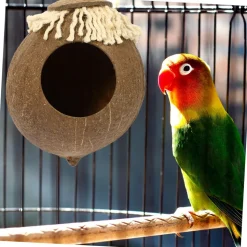 DOWNYPAWS - Boîte d'oiseau en coque de noix de coco pour la reproduction et la décoration type de cordon
