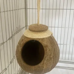 DOWNYPAWS - Boîte d'oiseau en coque de noix de coco pour la reproduction et la décoration chaîne de chapeau de paille