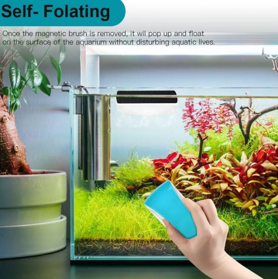 DOWNYPAWS - Brosse magnétique nettoyage - aquarium et verre