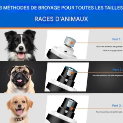 DOWNYPAWS - Broyeur à ongles pour chien