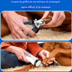 DOWNYPAWS - Broyeur à ongles pour chien