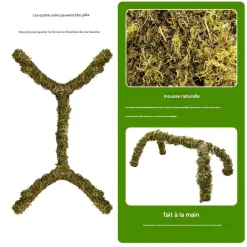 DOWNYPAWS - Bâton de mousse flexible 30 cm pour les crabes d'ermite jouet de grimpe