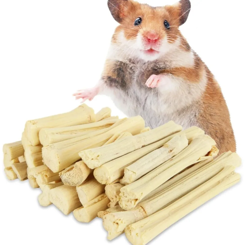 DOWNYPAWS - Bâtonnets à mâcher - friandises dentaires pour petits animaux