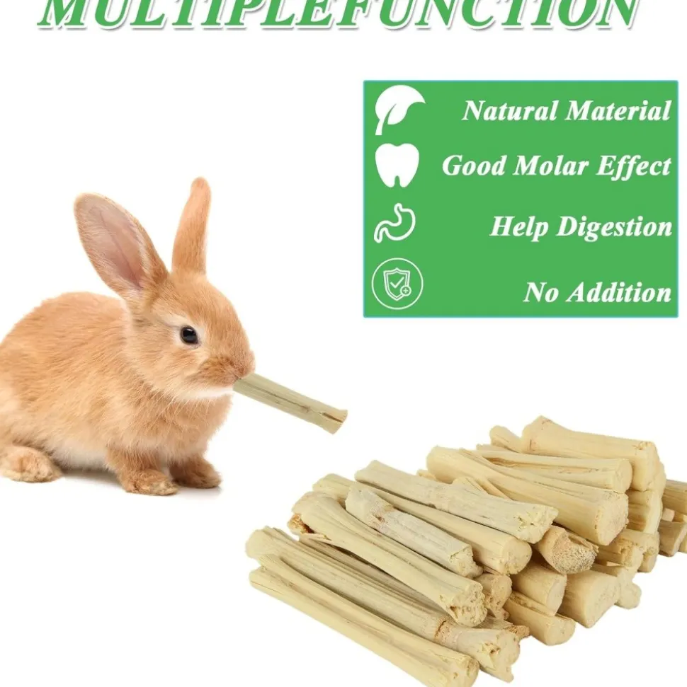 DOWNYPAWS - Bâtonnets à mâcher - friandises dentaires pour petits animaux