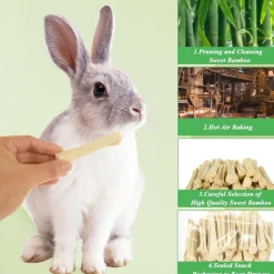 DOWNYPAWS - Bâtonnets à mâcher - friandises dentaires pour petits animaux