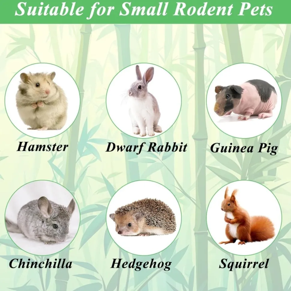 DOWNYPAWS - Bâtonnets à mâcher - friandises dentaires pour petits animaux