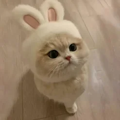 DOWNYPAWS - Chapeau de chat avec oreilles de lapin de pâques