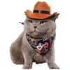 DOWNYPAWS - Chapeau de cowboy pour chat, idéal pour photos