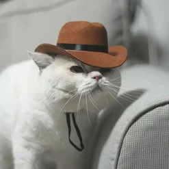 DOWNYPAWS - Chapeau de cowboy pour chat, idéal pour photos
