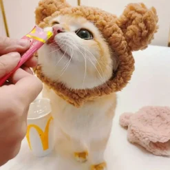 DOWNYPAWS - Chapeau ours pour animaux de compagnie, col règlable