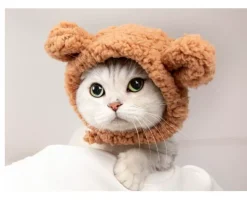 DOWNYPAWS - Chapeau ours pour animaux de compagnie, col règlable