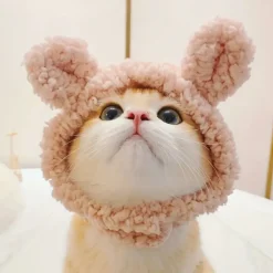 DOWNYPAWS - Chapeau ours pour animaux de compagnie, col règlable