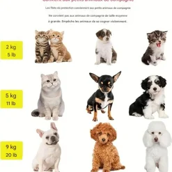 DOWNYPAWS - Chatière en filet évolutif