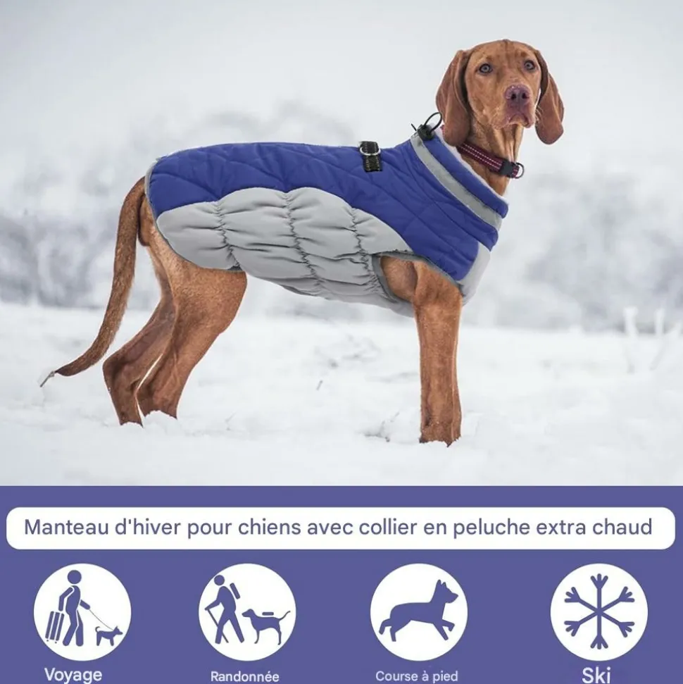 DOWNYPAWS - Chaud manteau protections pour chien,manteau épais en coton coupe-vent pour chien