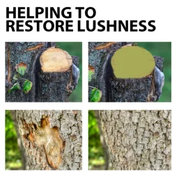 DOWNYPAWS - Cicatrisant pour arbres avec brosse-100 g + pinceau