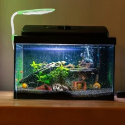 DOWNYPAWS - Éclairage led 3w pour plantes aquatiques