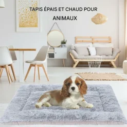 DOWNYPAWS - 75*50cm coussin de lit pour chien,réversible,velours côtelé
