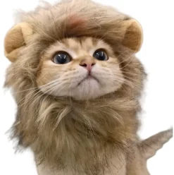 DOWNYPAWS - Coiffe de chapeau de lion mignon pour chiens et chats