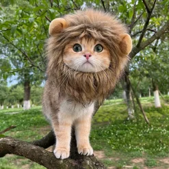 DOWNYPAWS - Coiffe de chapeau de lion mignon pour chiens et chats