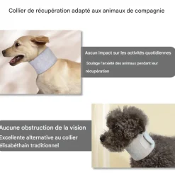 DOWNYPAWS - Collerette pour chat et chien
