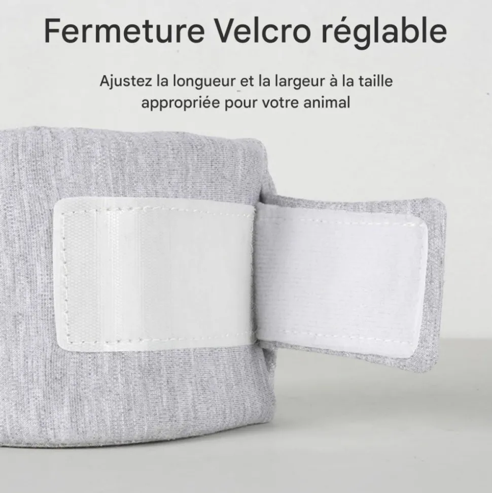 DOWNYPAWS - Collerette pour chat et chien