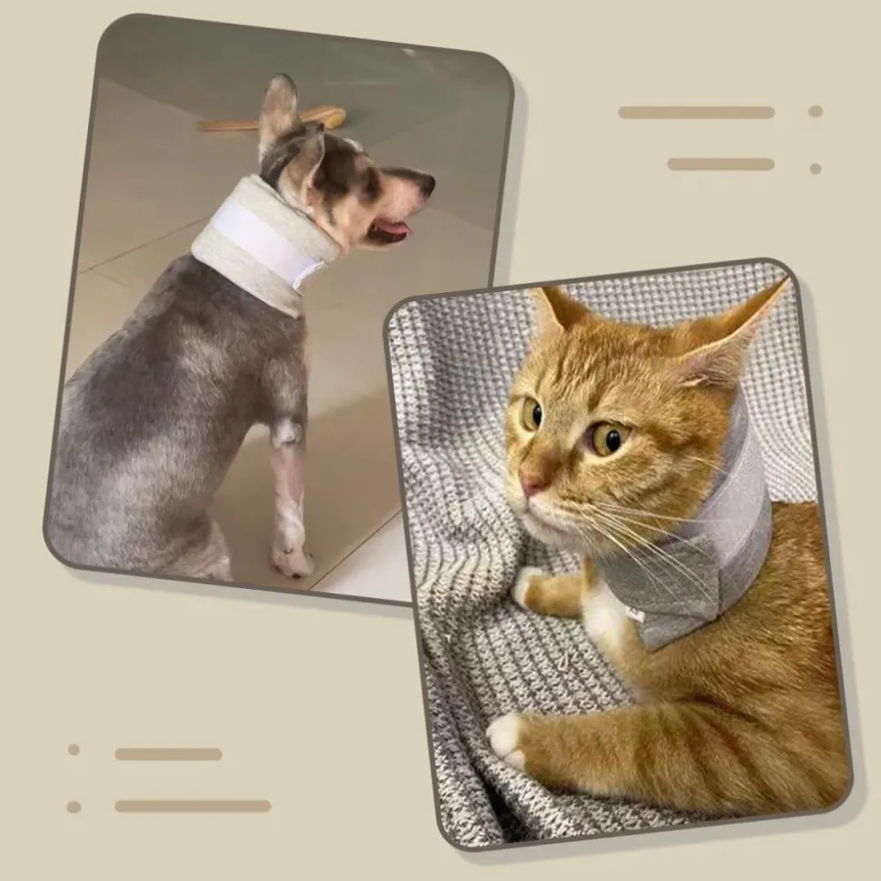 DOWNYPAWS - Collerette pour chat et chien