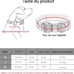 DOWNYPAWS - Collier de chien tactiqu