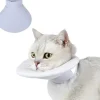DOWNYPAWS - Collier de convalescence pour chat