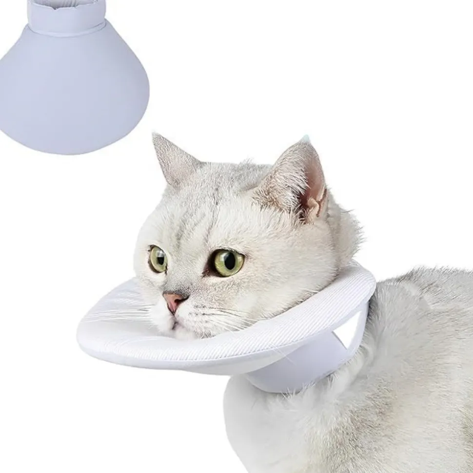 DOWNYPAWS - Collier de convalescence pour chat