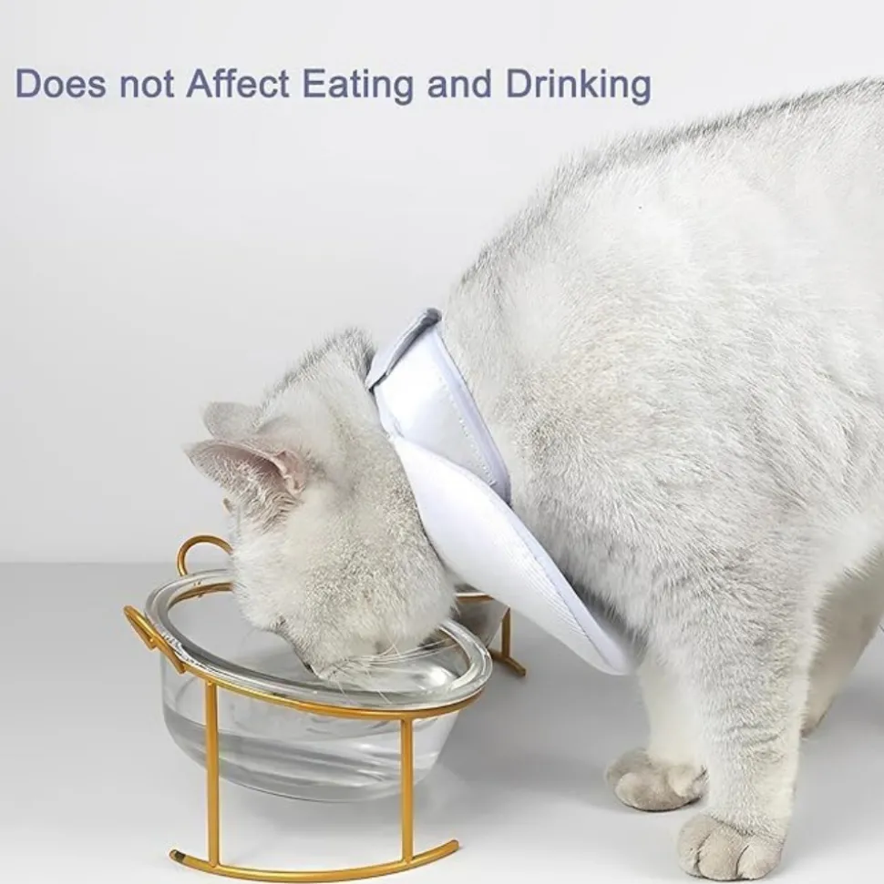 DOWNYPAWS - Collier de convalescence pour chat