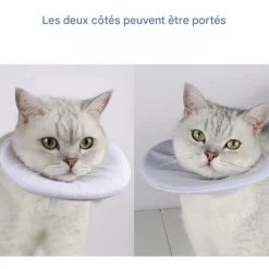 DOWNYPAWS - Collier de convalescence pour chat