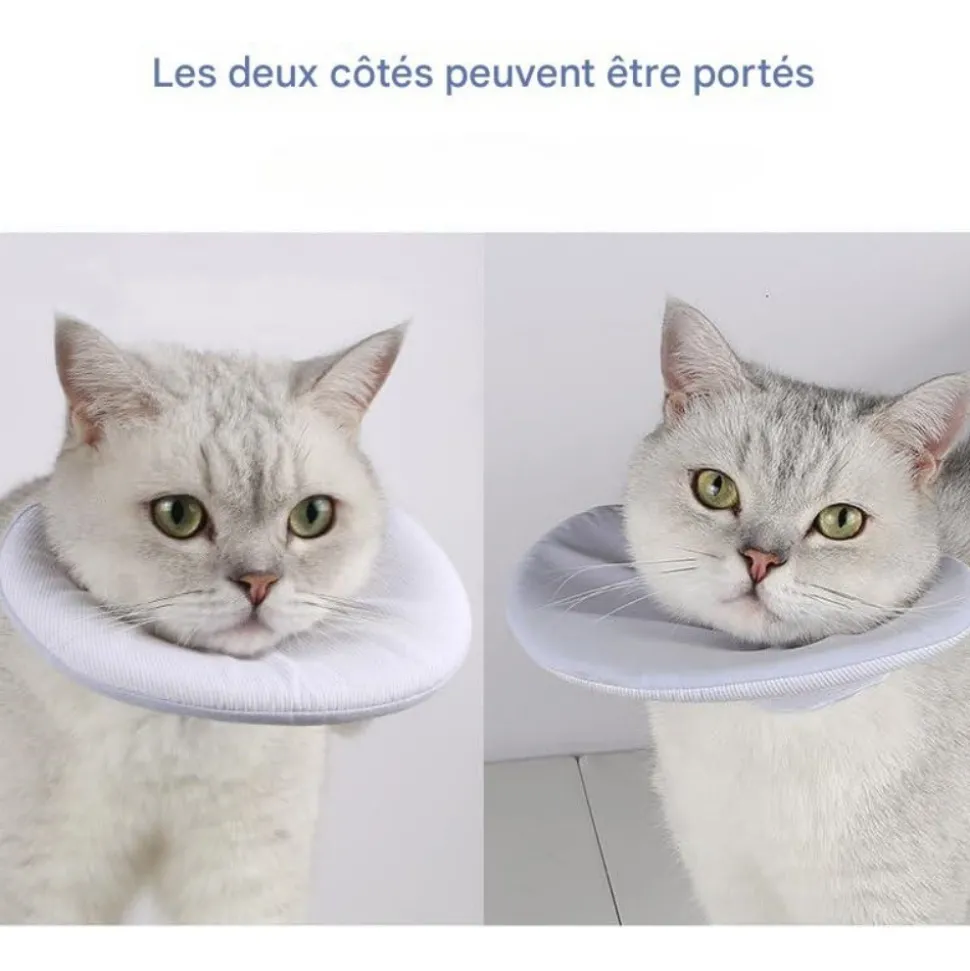 DOWNYPAWS - Collier de convalescence pour chat