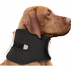 DOWNYPAWS - Collier de soutien post - opératoire respirant et solide avec protection anti - traction pour chien