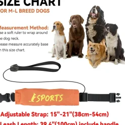 DOWNYPAWS - Collier et laisse intégrés - longueur de corde 100 cm - convient aux chiens de taille moyenne et grande