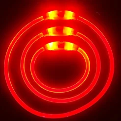 DOWNYPAWS - Collier lumineux rechargeable pour chien taille m rouge : 50 cm de circonférence