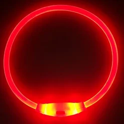 DOWNYPAWS - Collier lumineux rechargeable pour chien taille m rouge : 50 cm de circonférence