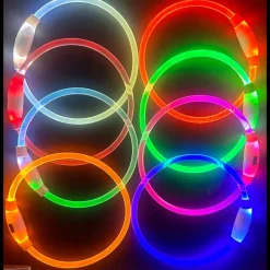 DOWNYPAWS - Collier lumineux rechargeable pour chien vert taille m : circonférence 50 cm