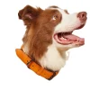 DOWNYPAWS - Collier réglable en cuir marron imperméable pour chiens de petite et moyenne taille
