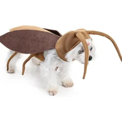 DOWNYPAWS - Costumes d'halloween pour chats et chiens - déguisement de cafard d'halloween