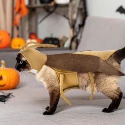 DOWNYPAWS - Costumes d'halloween pour chats et chiens - déguisement de cafard d'halloween
