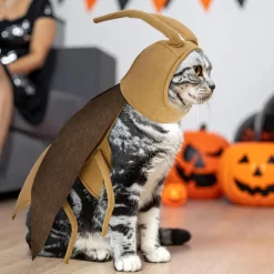 DOWNYPAWS - Costumes d'halloween pour chats et chiens - déguisement de cafard d'halloween
