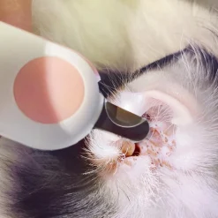 DOWNYPAWS - Coupe griffes professionnel pour chats et chiens, avec trou de coupe circulaire de 2mm et lumière led