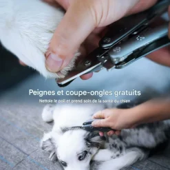 DOWNYPAWS - Coupe ongle chien avec lime & peigne - multifonction en un