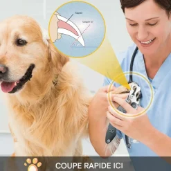 DOWNYPAWS - Coupe ongle chien avec lime & peigne - multifonction en un