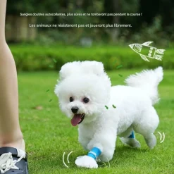 DOWNYPAWS - Couvoirs à pied d'animaux jetables, non tissés et anti - glissants taille s downypaws