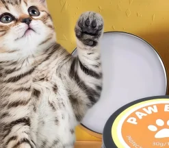 DOWNYPAWS - Crème de soin pour pattes et nez de chats et chiens - prévention des crevasses sèches
